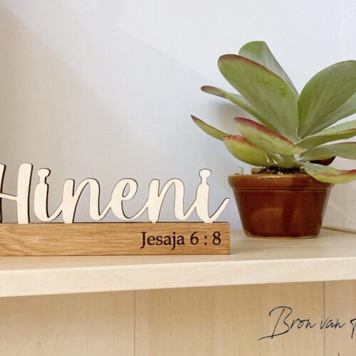 Woordenstandaard Christelijk geloof Gepersonaliseerd God is Goed